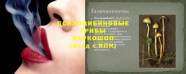 стаф Краснотурьинск